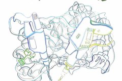 PD_47_File_001