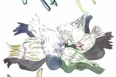 PD_47_File_002