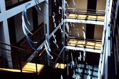 MEDIAFIX_IMG_0997