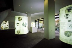 MEDIAFIX_IMG_1002