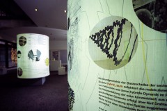MEDIAFIX_IMG_1008
