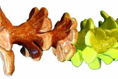 2.blume13-Kopie