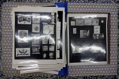 dis-fotos-im-schuber