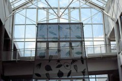 MEDIAFIX_IMG_0987