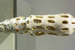 botanics-mycels-web-11