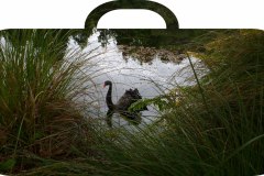 koffer-schwan