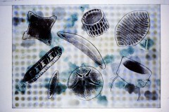 1996-8-Diatomeen-Raeume19968-Studio-Muenchen-KV-Landshut-12