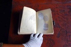 reise-der-schildkroete-tagebuch-alt-14