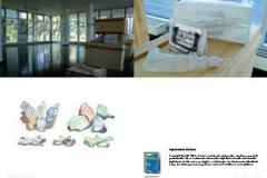 nele_katalog_Seite_32