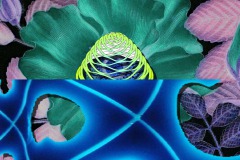 flower1