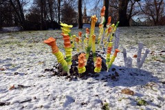 blumen-mit-schatten