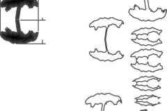 baum1-gespiegelt-1-50-einzelteile