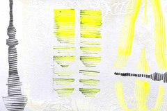 IMG_8769