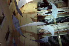 MEDIAFIX_IMG_0897