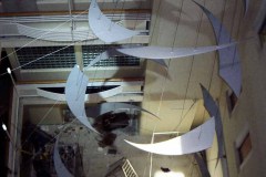 MEDIAFIX_IMG_0983