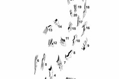 2_A3-Ansicht-652175-1_50_numeriert
