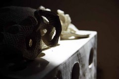 MEDIAFIX_IMG_1239