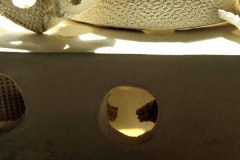 MEDIAFIX_IMG_1248