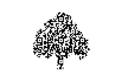 banyan_tree_sisters-baum