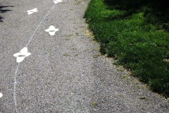MEDIAFIX_IMG_0331