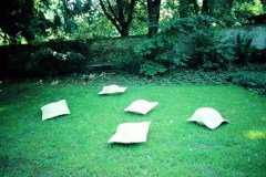 MEDIAFIX_IMG_0244