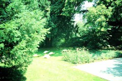 MEDIAFIX_IMG_0247