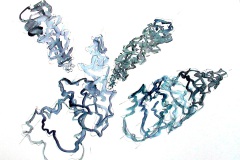 siebolds hängende gärten hz auf Bütten 50 x 65cm  2005