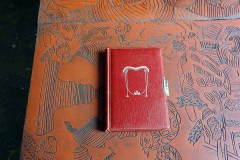 leporellos-und-books-zur-Reise-der-Schilkroete-21