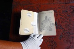leporellos-und-books-zur-Reise-der-Schilkroete-22