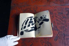 leporellos-und-books-zur-Reise-der-Schilkroete-30
