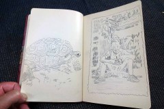 leporellos-und-books-zur-Reise-der-Schilkroete-4
