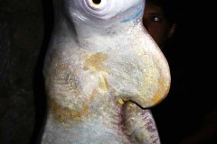 MEDIAFIX_IMG_0063