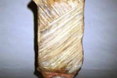 MEDIAFIX_IMG_0616