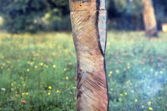 MEDIAFIX_IMG_0974