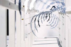 MEDIAFIX_IMG_0279