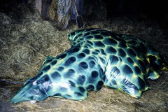 1999-Wunderbaum-Skulpturprojekt-Obing-6