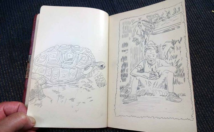  Tagebuch zur Reise der Schildkröte